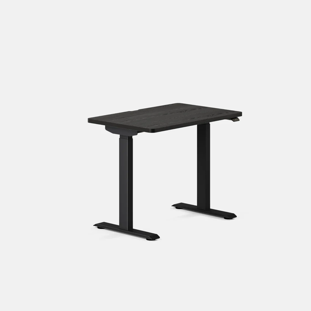 Duo Standing Desk - Image 108