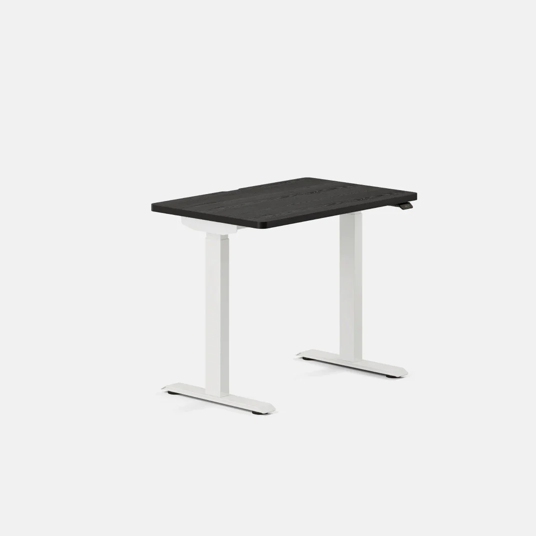 Duo Standing Desk - Image 111