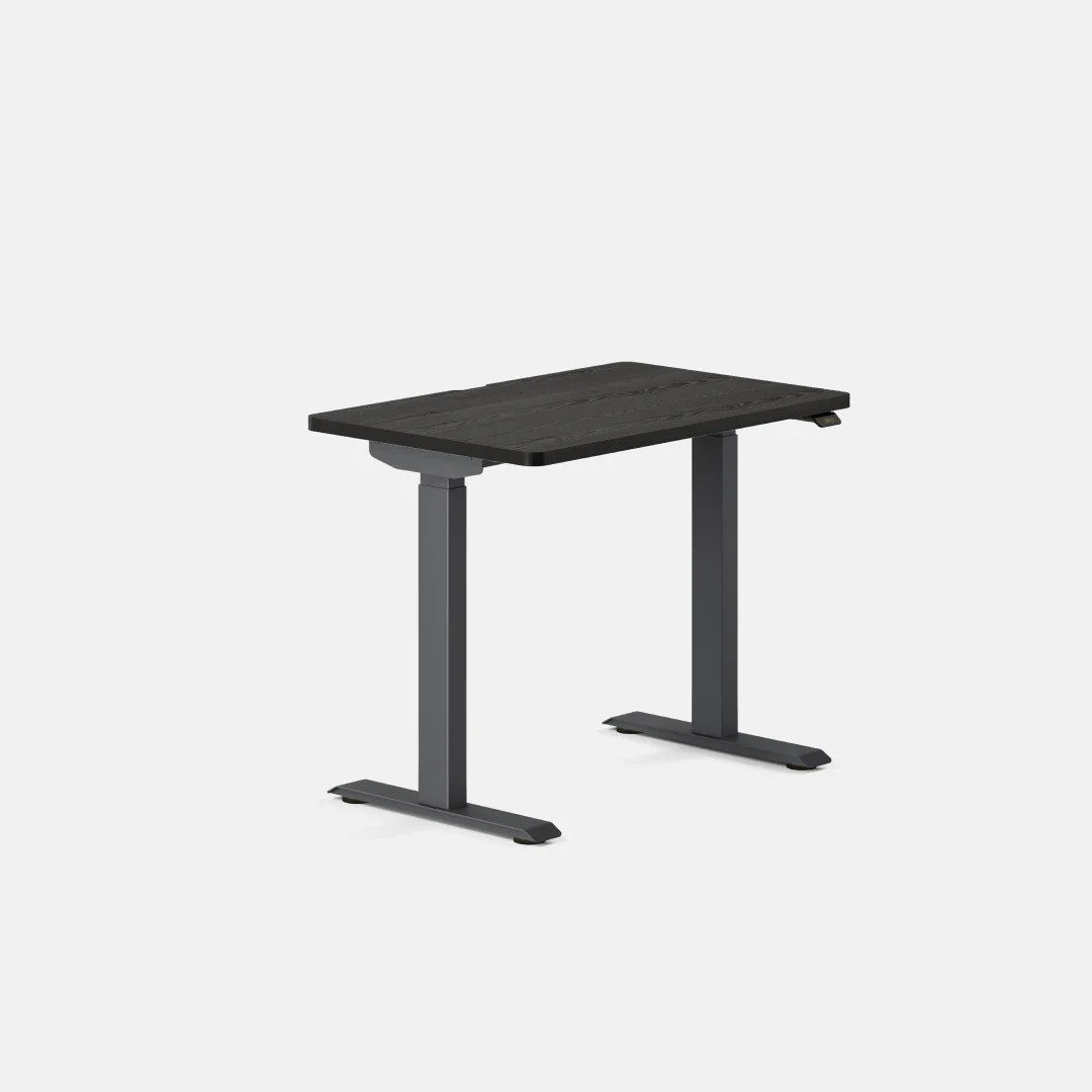 Duo Standing Desk - Image 114