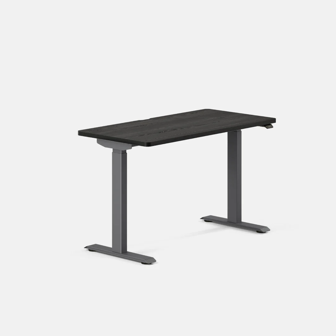 Duo Standing Desk - Image 115