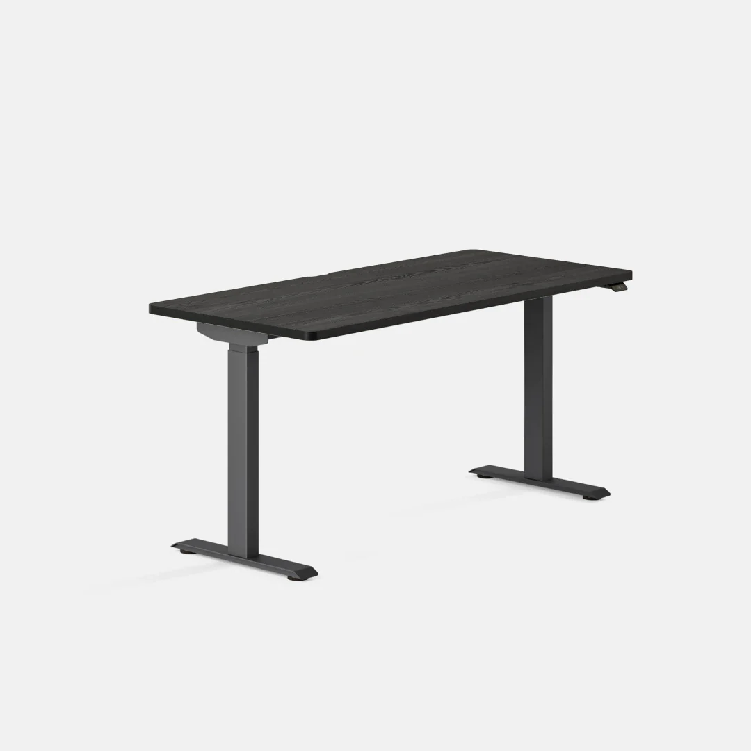 Duo Standing Desk - Image 116