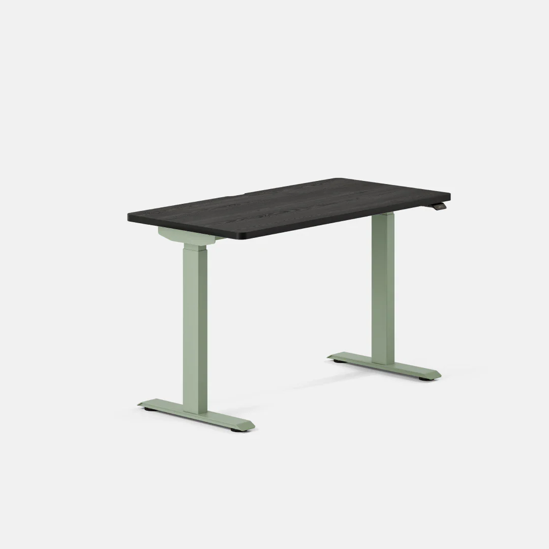 Duo Standing Desk - Image 118