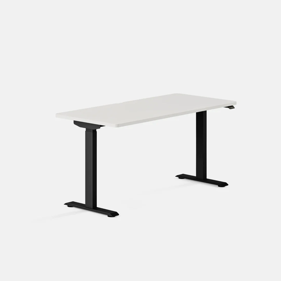 Duo Standing Desk - Image 125