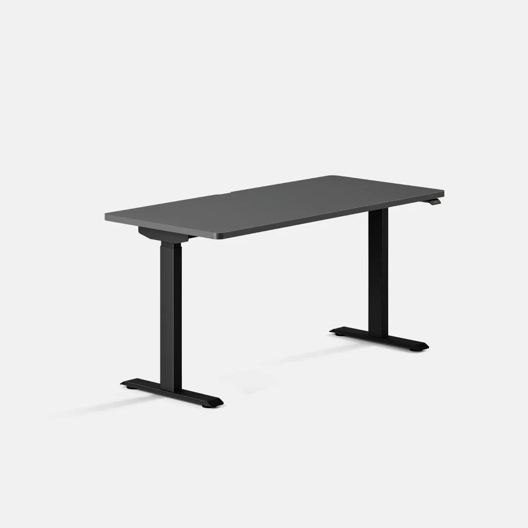 Duo Standing Desk - Image 131