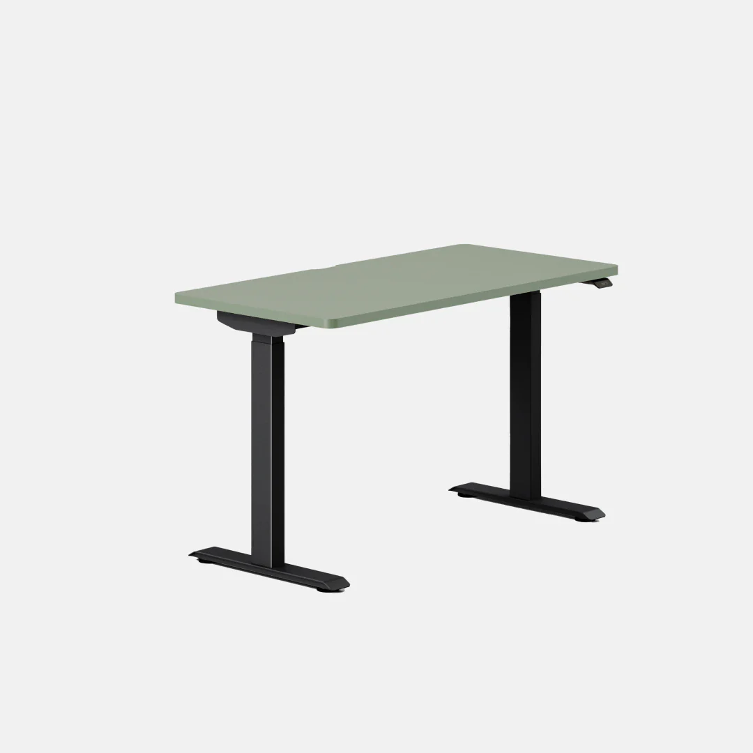 Duo Standing Desk - Image 133