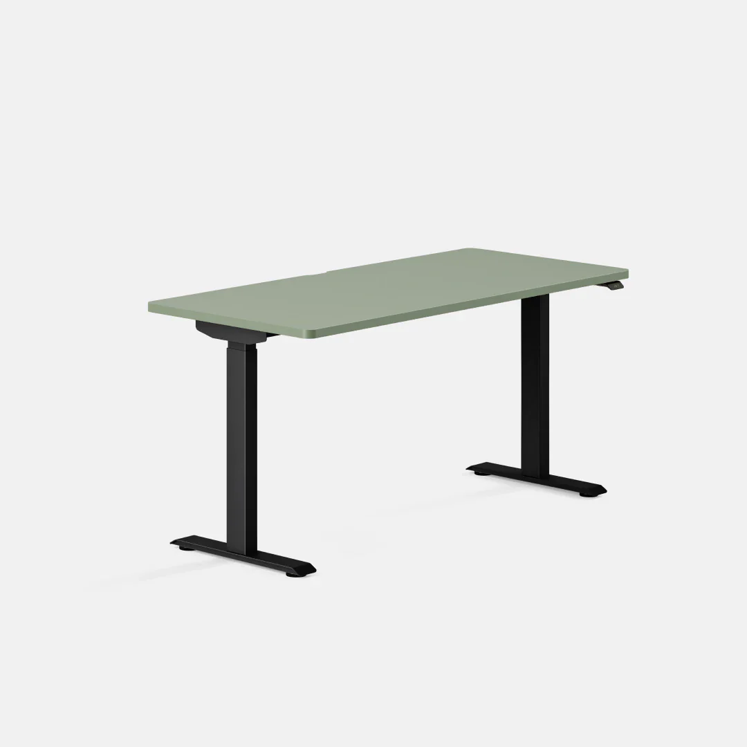 Duo Standing Desk - Image 134