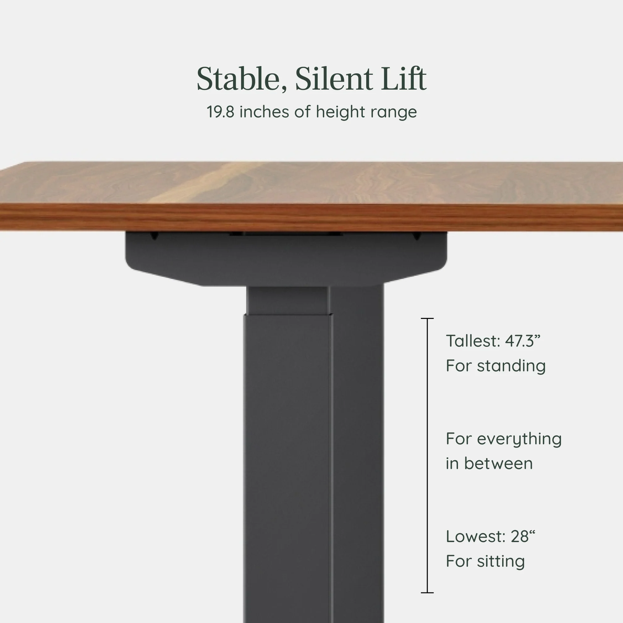 Duo Standing Desk - Image 144
