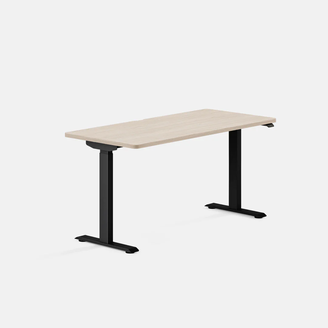 Duo Standing Desk - Image 98